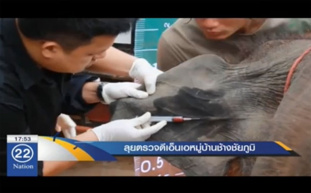 ลุยตรวจดีเอ็นเอ หมู่บ้านช้างกันสวมสิทธิ์ ลุยตรวจดีเอ็นเอ หมู่บ้านช้างกันสวมสิทธิ์