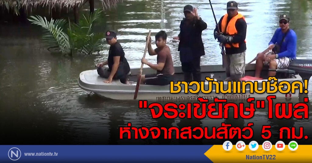 "จระเข้ยักษ์"โผล่
ห่างจากสวนสัตว์ 5 กม.ชาวบ้านแทบช๊อค! "จระเข้ยักษ์"โผล่
ห่างจากสวนสัตว์ 5 กม.ชาวบ้านแทบช๊อค!