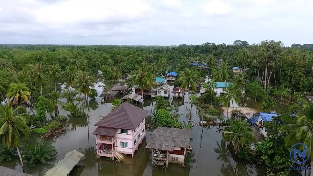 "จระเข้ยักษ์"โผล่
ห่างจากสวนสัตว์ 5 กม.ชาวบ้านแทบช๊อค!
