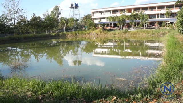 ครูฝึกสั่งว่ายน้ำข้ามสระทำโทษ
รด.ใส่ชุดผิดระเบียบ
จมดับคาสระโรงเรียน