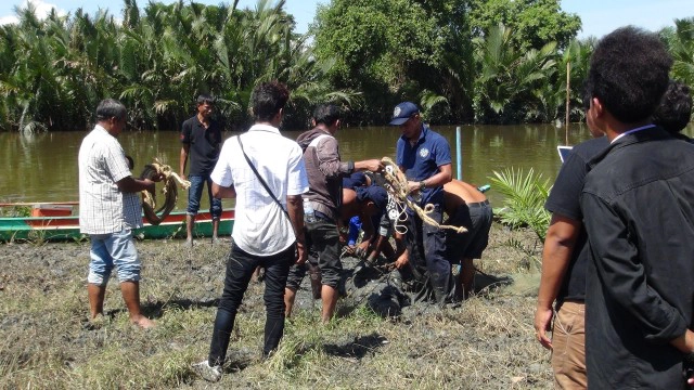 จับได้แล้ว! "นาเดีย" จระเข้หลุดจากสวนสัตว์ทุ่งท่าลาด