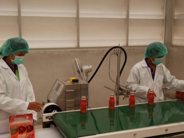 " เห็ดหลินจือ " คือยาอายุวัฒนะ หรือ สุดยอดแห่งสมุนไพร