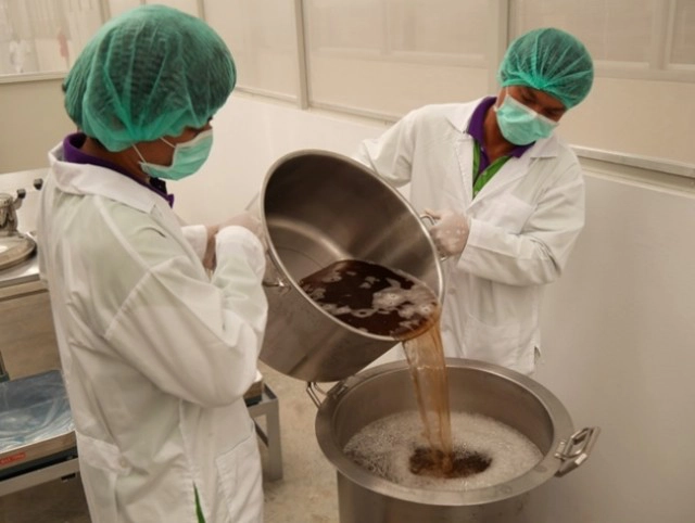 " เห็ดหลินจือ " คือยาอายุวัฒนะ หรือ สุดยอดแห่งสมุนไพร