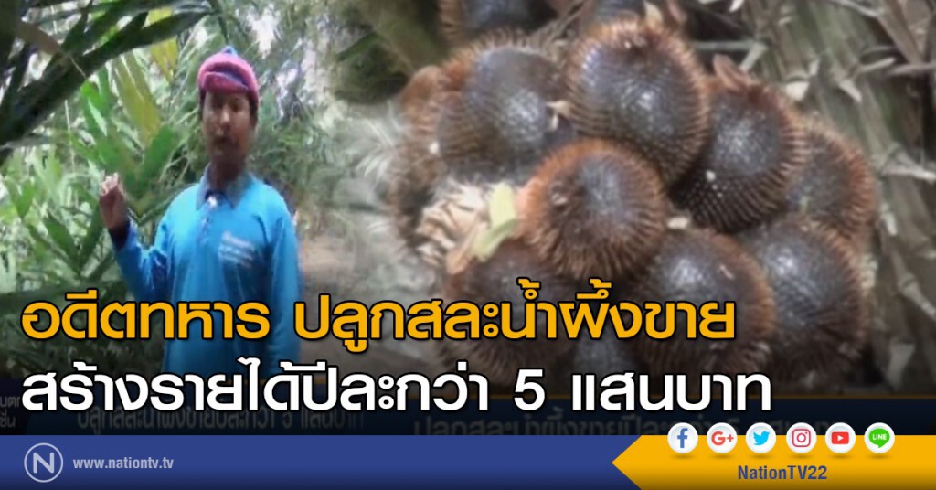 อดีตทหาร ปลูกสละน้ำผึ้งขาย สร้างรายได้ปีละกว่า 5 แสนบาท อดีตทหาร ปลูกสละน้ำผึ้งขาย สร้างรายได้ปีละกว่า 5 แสนบาท