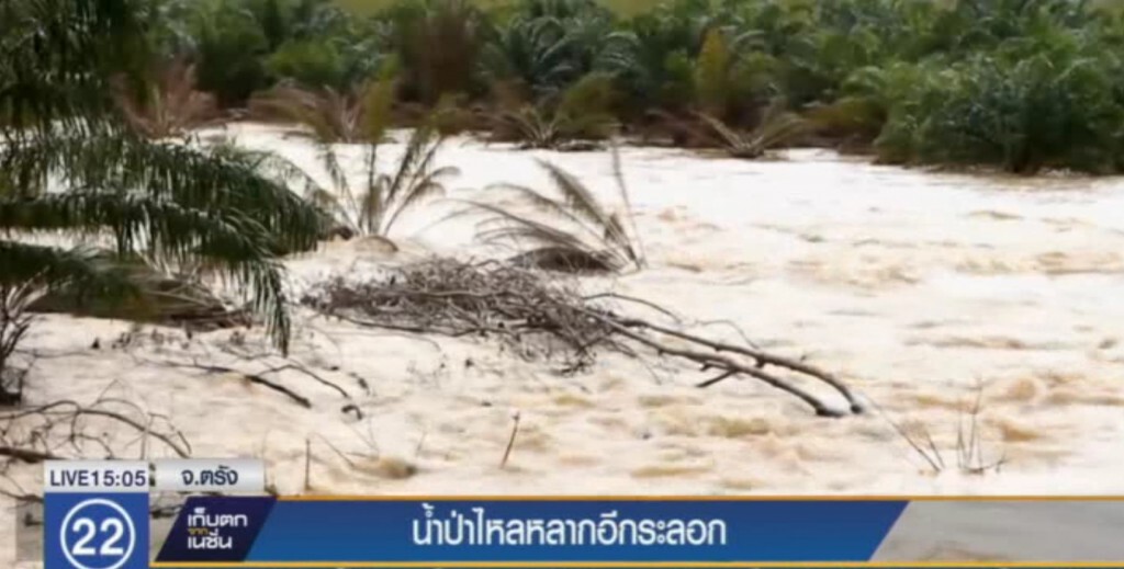 น้ำป่าไหลเข้าท่วมหลายพื้นที่ จ.ตรัง น้ำป่าไหลเข้าท่วมหลายพื้นที่ จ.ตรัง