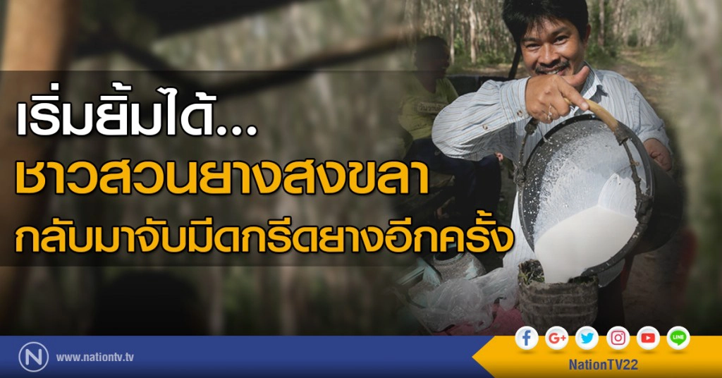 ชาวสวนยางสงขลา เริ่มยิ้มได้