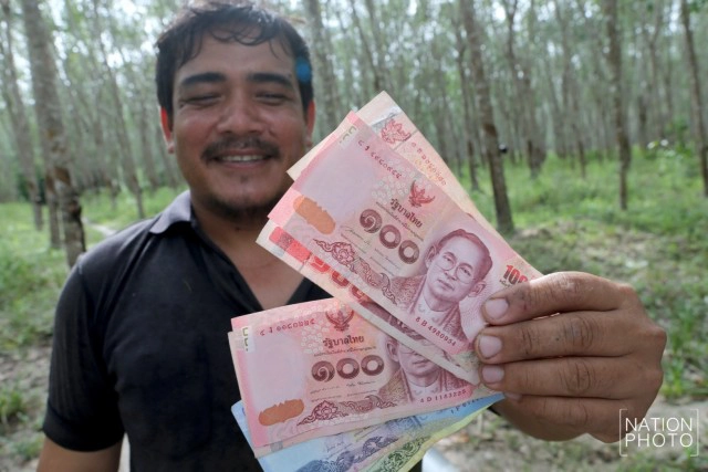 ชาวสวนยางสงขลา เริ่มยิ้มได้