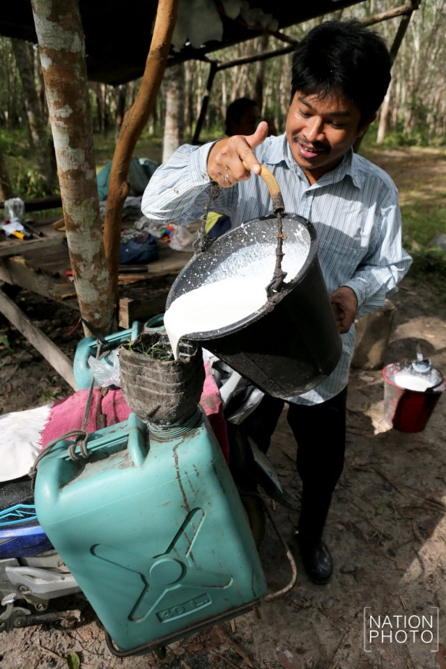 ชาวสวนยางสงขลา เริ่มยิ้มได้