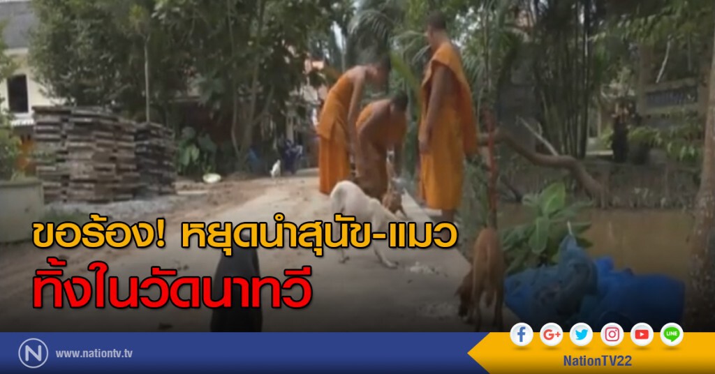 ขอร้องหยุดนำสุนัข - แมวทิ้งในวัดนาทวี ขอร้องหยุดนำสุนัข - แมวทิ้งในวัดนาทวี