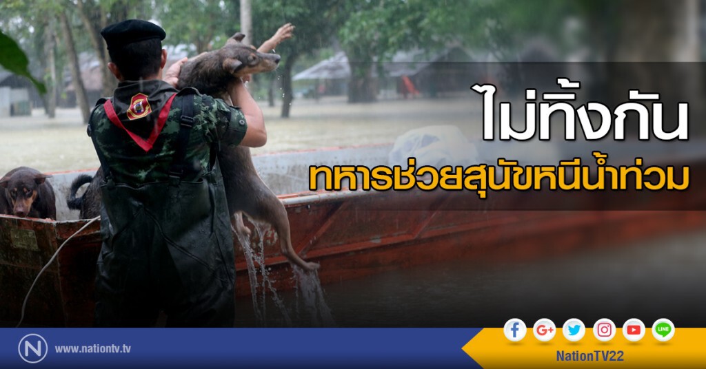 ไม่ทิ้งกัน ไม่ทิ้งกัน
