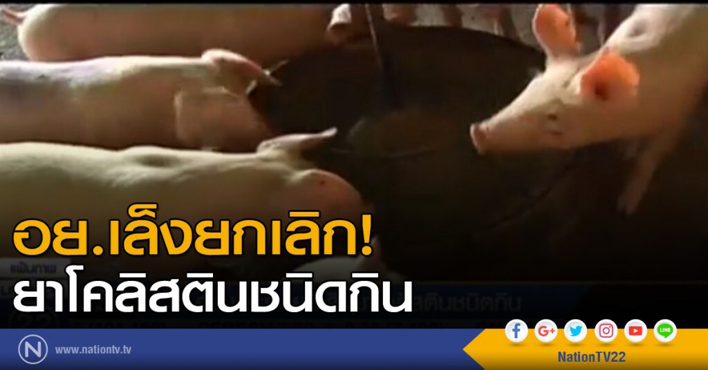 อย.เล็งยกเลิกยาโคลิสตินชนิดกิน อย.เล็งยกเลิกยาโคลิสตินชนิดกิน