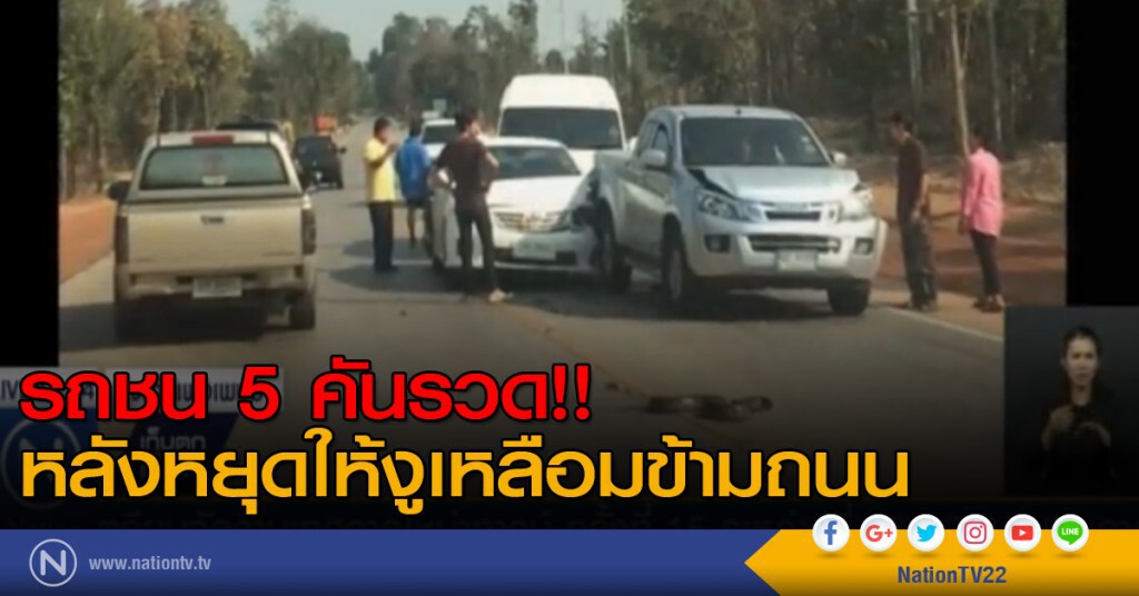 รถชน 5 คันรวด!! หลังหยุดให้งูเหลือมข้ามถนน รถชน 5 คันรวด!! หลังหยุดให้งูเหลือมข้ามถนน