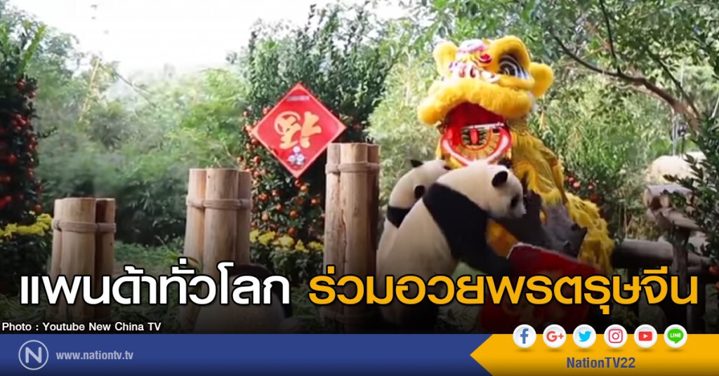 แพนด้าจากทั่วโลก อวยพรตรุษจีน แพนด้าจากทั่วโลก อวยพรตรุษจีน