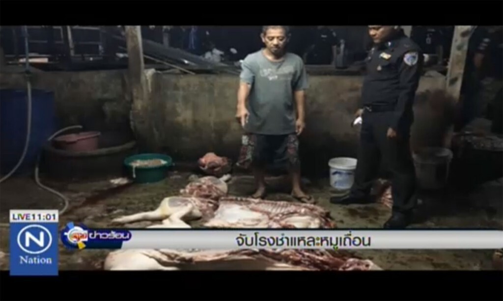 จับโรงชำแหละหมูเถื่อน จับโรงชำแหละหมูเถื่อน