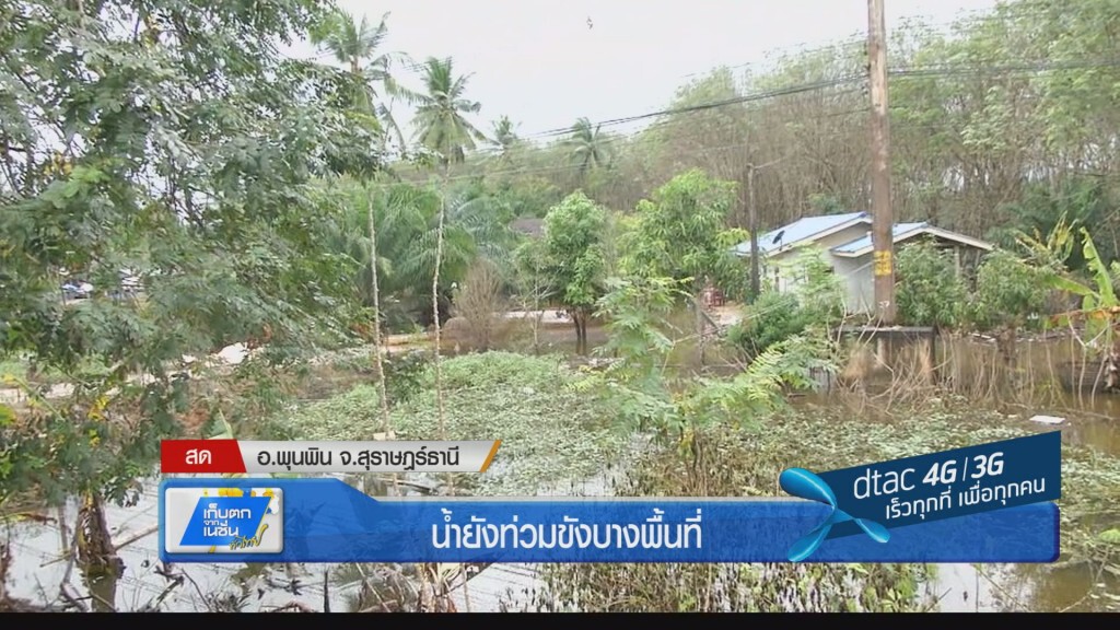 น้ำยังท่วมขังใน อ.พุนพิน น้ำยังท่วมขังใน อ.พุนพิน