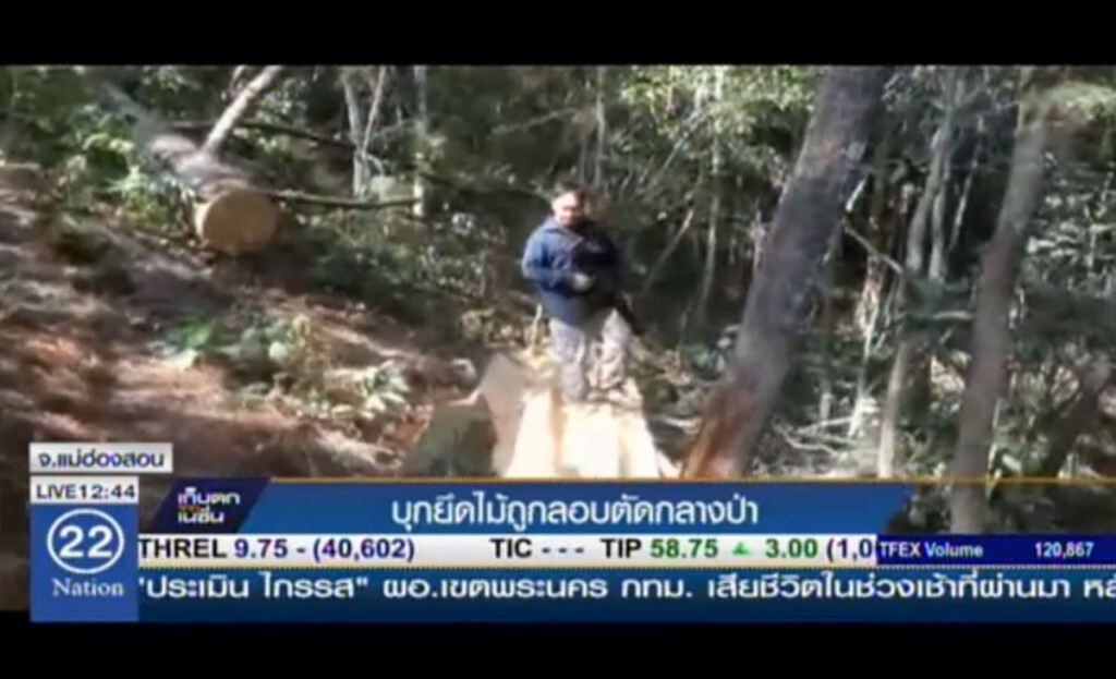 บุกยึดไม้ถูกลอบตัดกลางป่า บุกยึดไม้ถูกลอบตัดกลางป่า