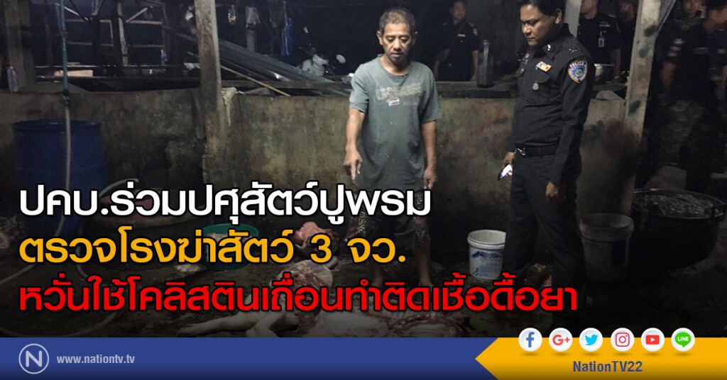 ปคบ.ร่วมปศุสัตว์ปูพรมตรวจโรงฆ่าสัตว์3จว.หวั่นหมูที่ชำแหละใช้โคลิสตินเถื่อนทำติดเชื้อดื้อยา