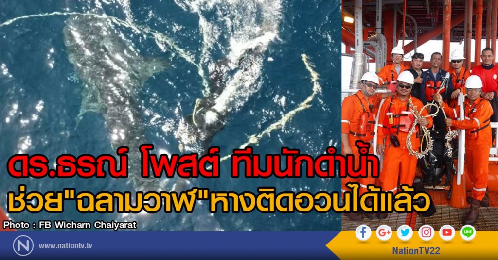 ดร.ธรณ์ โพสต์ทีมดำน้ำ ช่วย"ฉลามวาฬ "หางติดอวนได้แล้ว ดร.ธรณ์ โพสต์ทีมดำน้ำ ช่วย"ฉลามวาฬ "หางติดอวนได้แล้ว