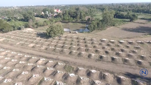 ฉายหนังในสุสาน
ความบันเทิงในวันเที่ยวบรรพบุรุษ