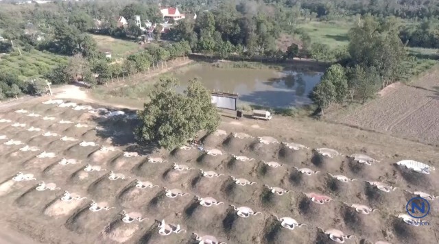 ฉายหนังในสุสาน
ความบันเทิงในวันเที่ยวบรรพบุรุษ
