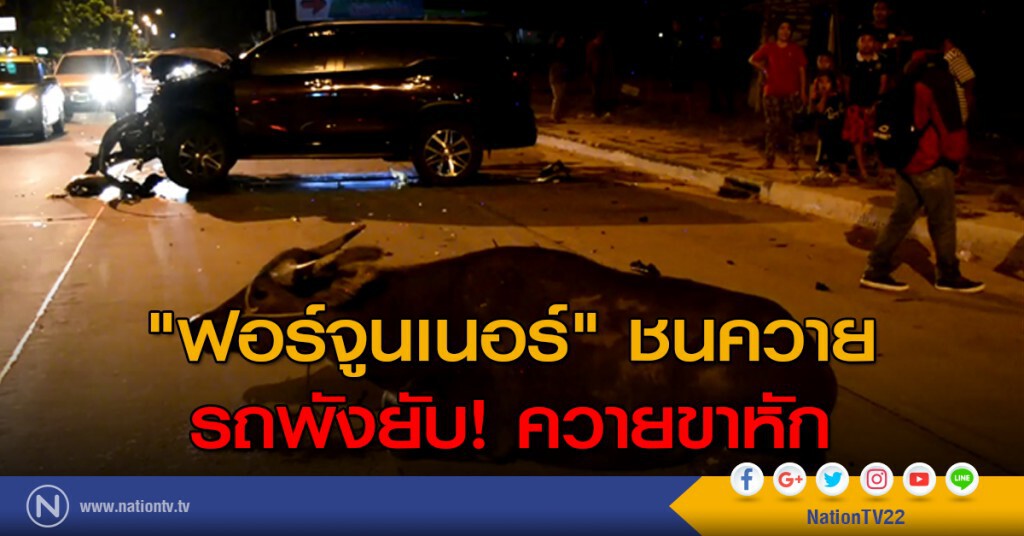 "ฟอร์จูนเนอร์" พังยับ! หลังชนควาย "ฟอร์จูนเนอร์" พังยับ! หลังชนควาย