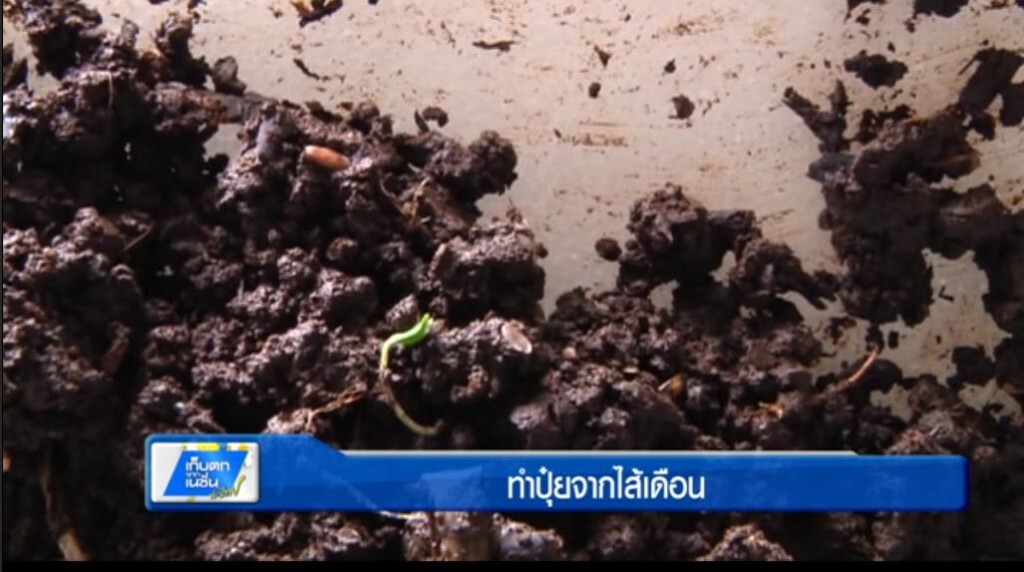 ตะลอนทั่วทิศ - ทำปุ๋ยจากไส้เดือน ตะลอนทั่วทิศ - ทำปุ๋ยจากไส้เดือน
