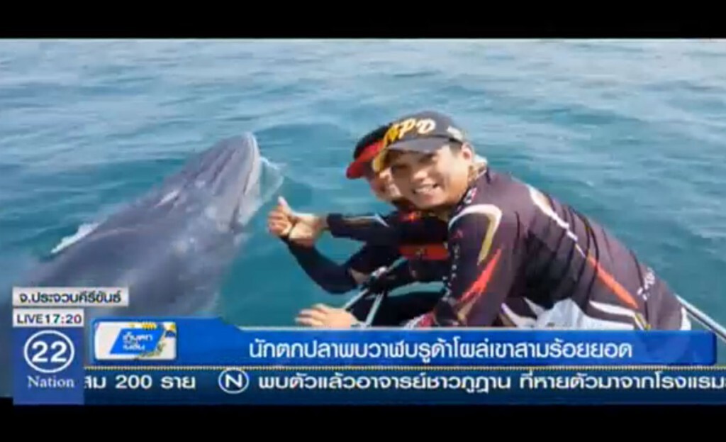 พบวาฬบรูด้าโผล่หน้า อช.เขาสามร้อยยอด