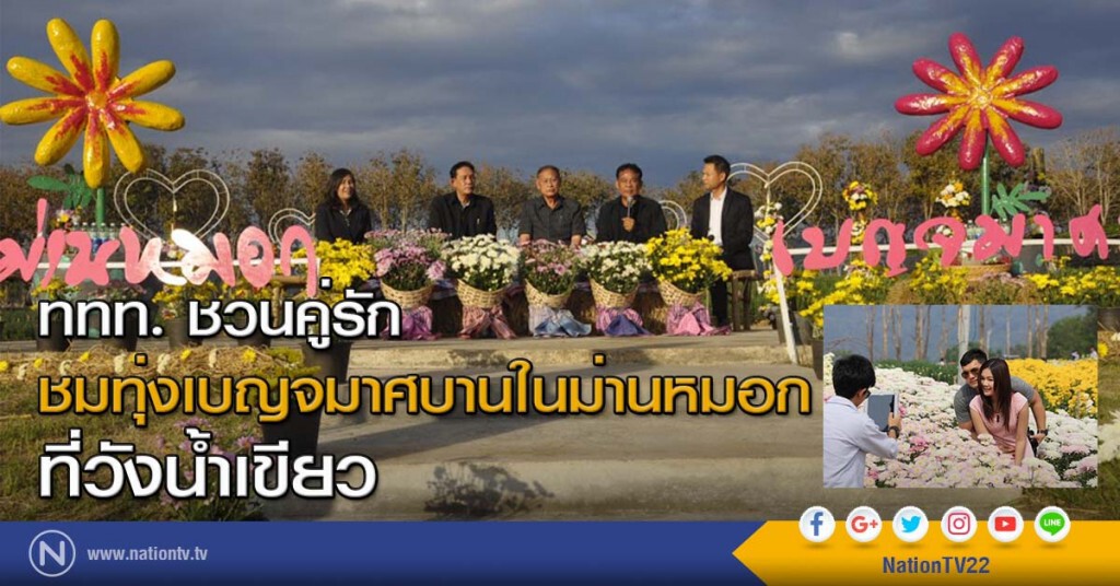 ททท.ชวนคู่รักชมทุ่งเบญจมาศบานในม่านหมอก ที่วังน้ำเขียว ททท.ชวนคู่รักชมทุ่งเบญจมาศบานในม่านหมอก ที่วังน้ำเขียว