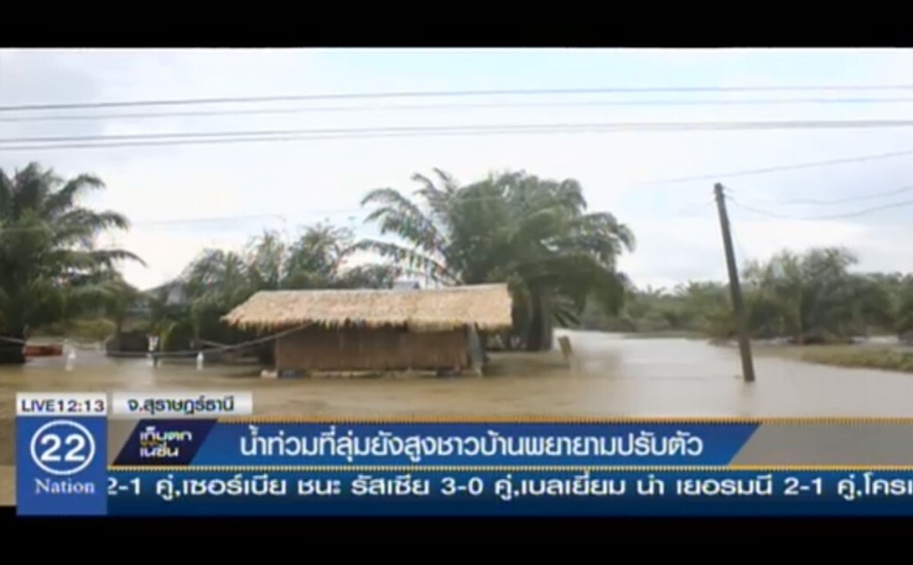 สุราษฎร์น้ำท่วมที่ลุ่มยังสูง ชาวบ้านพยามยามปรับตัว สุราษฎร์น้ำท่วมที่ลุ่มยังสูง ชาวบ้านพยามยามปรับตัว