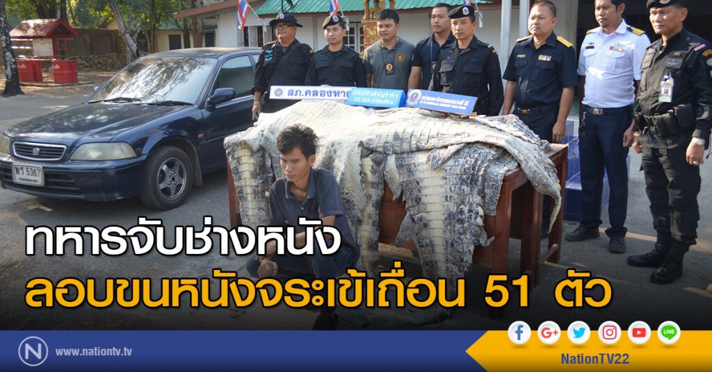ทหารจับช่างหนังลอบขนหนังจระเข้เถื่อน 51 ตัว