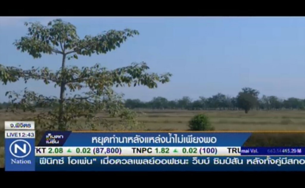 หยุดทำนา หลังแหล่งน้ำไม่เพียงพอ หยุดทำนา หลังแหล่งน้ำไม่เพียงพอ