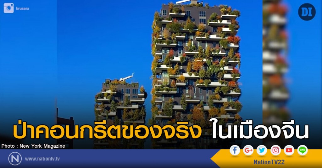 ป่าคอนกรีตของจริงในเมืองจีน