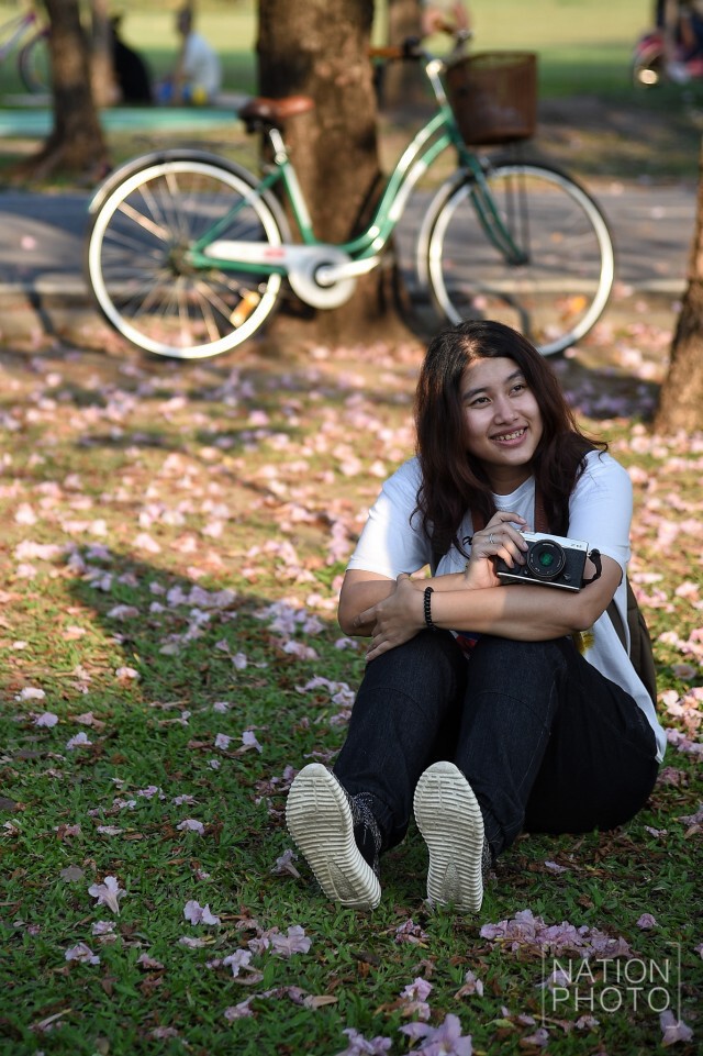 ดอกชมพูพันธุ์ทิพย์ บานที่สวนรถไฟ