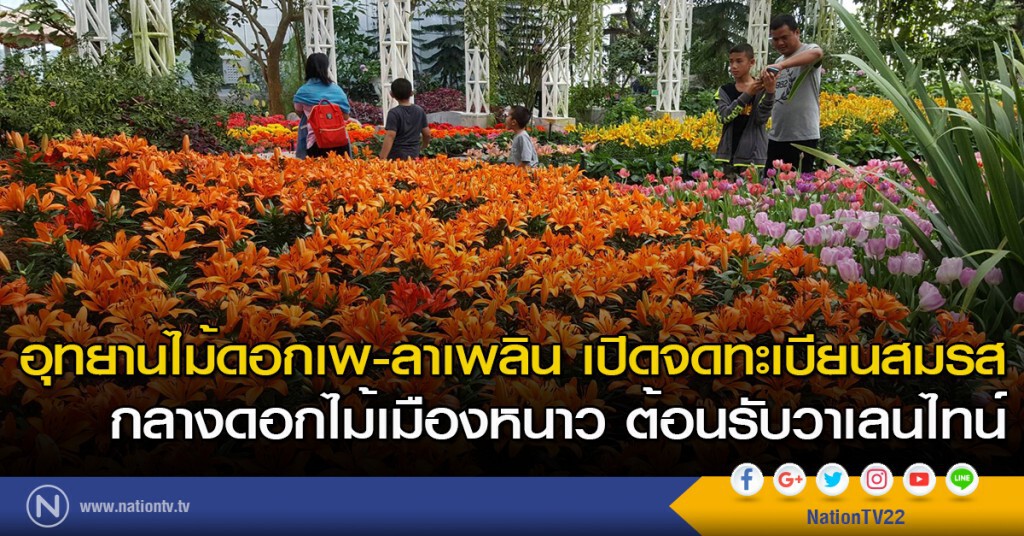 อุทยานไม้ดอกเพ-ลาเพลิน เปิดจดทะเบียนสมรส กลางดอกไม้เมืองหนาว ต้อนรับวาเลนไทน์