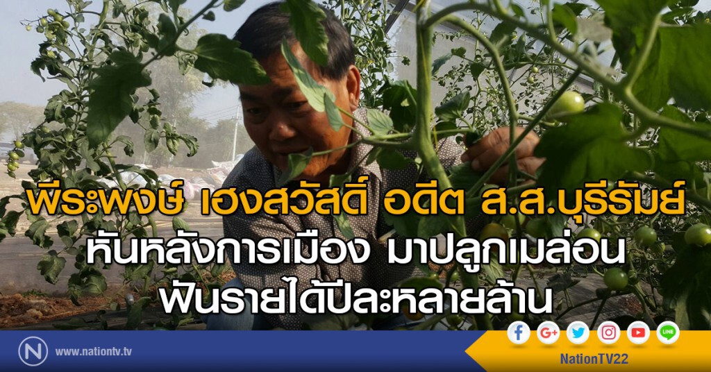 พีระพงษ์ เฮงสวัสดิ์ อดีต ส.ส.บุรีรัมย์
หันหลังการเมือง มาปลูกเมล่อน
ฟันรายได้ปีละหลายล้าน