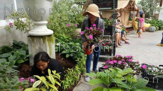 อุทยานไม้ดอกเพ-ลาเพลิน เปิดจดทะเบียนสมรส กลางดอกไม้เมืองหนาว ต้อนรับวาเลนไทน์
