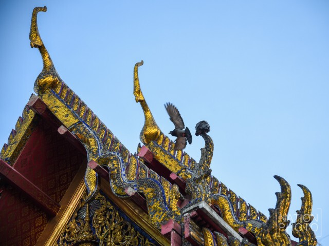 เรื่องเล่าจาก"วัดราชบพิธฯ"