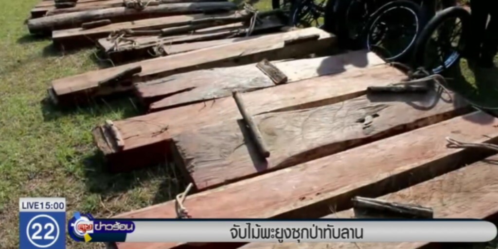 จับผู้ลักลอบตัดไม้พะยูง อุทยานฯ ทับลาน จับผู้ลักลอบตัดไม้พะยูง อุทยานฯ ทับลาน