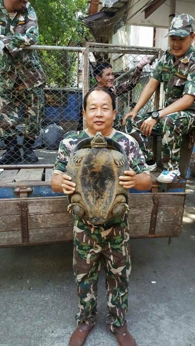 กรมอุทยานฯ เร่งตรวจสอบ  หลังชาวบ้านแจ้ง สายด่วน 1362 พบเต่านับร้อยในวัด เขตบึงกุ่ม