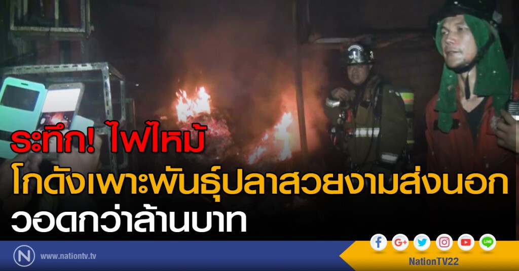 ระทึก! ไฟไหม้โกดังเพาะพันธุ์ปลาสวยงามส่งนอก วอดกว่าล้านบาท