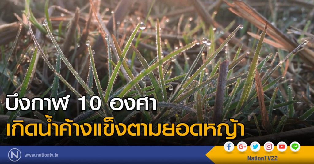 บึงกาฬ 10 องศา เกิดน้ำค้างแข็งตามยอดหญ้า ชาวบ้านก่อไฟผิงและหาหนูนาเปิบคลายหนาว บึงกาฬ 10 องศา เกิดน้ำค้างแข็งตามยอดหญ้า ชาวบ้านก่อไฟผิงและหาหนูนาเปิบคลายหนาว