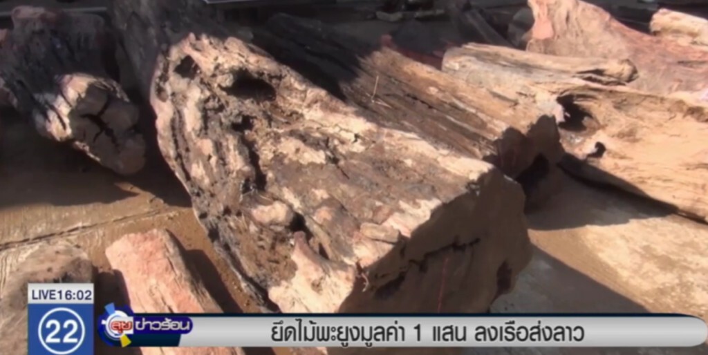 ยึดไม้พะยูงมูลค่า 1 แสนบาท ลงเรือส่งลาว