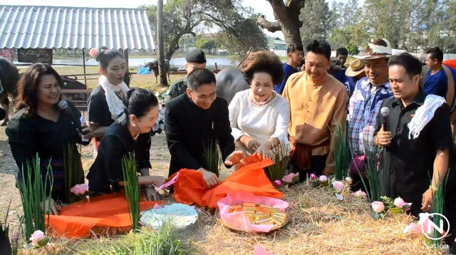 "วิวาห์ควายไทย" รับวาเลนไทน์ 
ชาวกรุงเก่า หวังอนุรักษ์พันธุ์