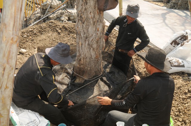 ปรับพื้นที่สนามหลวง! เตรียม ถวายพระเพลิงพระบรมศพ ในหลวงร.๙