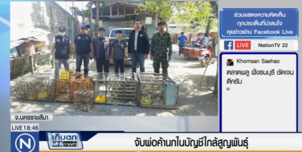 จับพ่อค้า ขายนกในบัญชีใกล้สูญพันธุ์ 1,200 ตัว จับพ่อค้า ขายนกในบัญชีใกล้สูญพันธุ์ 1,200 ตัว