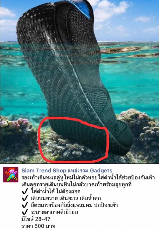 "ดร.ธรณ์" เดือด! โฆษณารองเท้าย่ำปะการัง