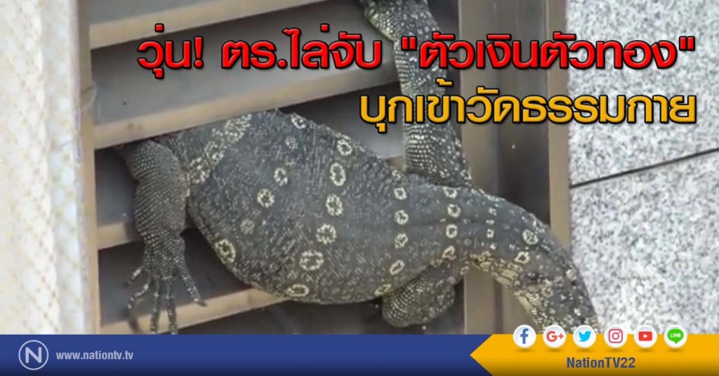 วุ่น! ตร.ไล่จับ "ตัวเงินตัวทอง"
บุกเข้าวัดธรรมกาย วุ่น! ตร.ไล่จับ "ตัวเงินตัวทอง"
บุกเข้าวัดธรรมกาย