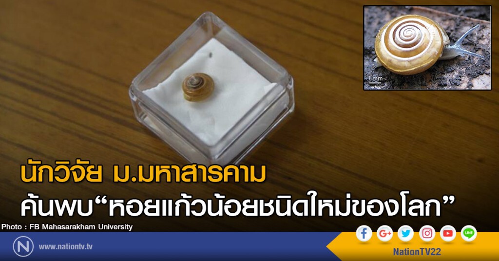 นักวิจัย ม.มหาสารคาม ค้นพบ"หอยแก้วน้อยชนิดใหม่ของโลก"