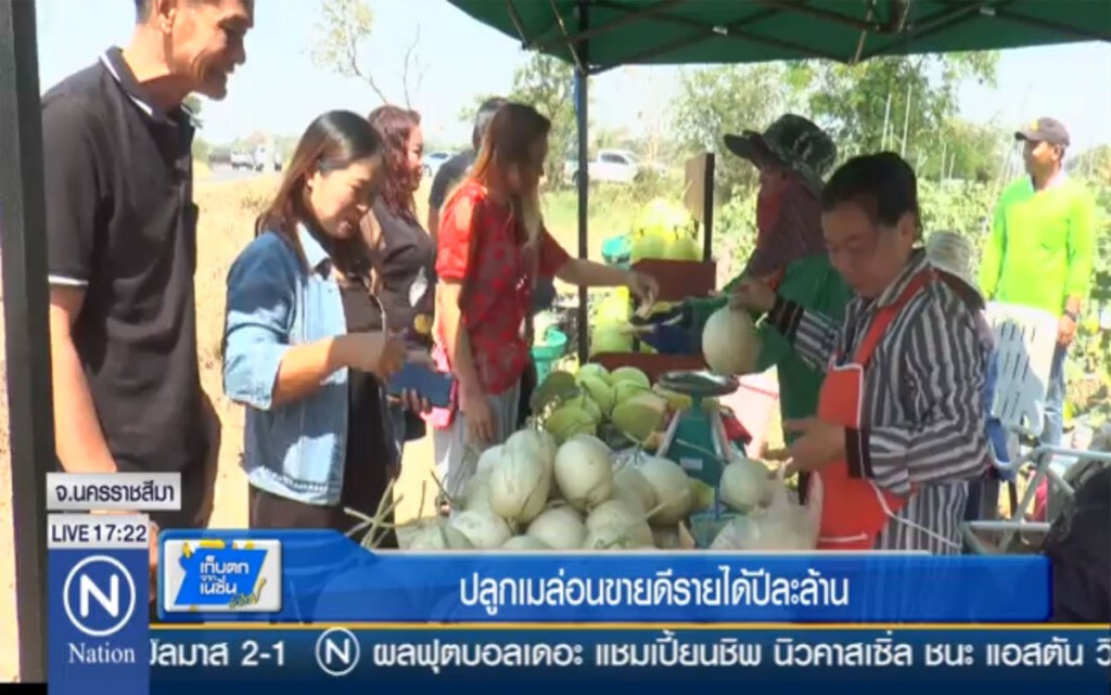 ปลูกเมล่อนขาย รายได้ปีละเป็นล้าน ปลูกเมล่อนขาย รายได้ปีละเป็นล้าน