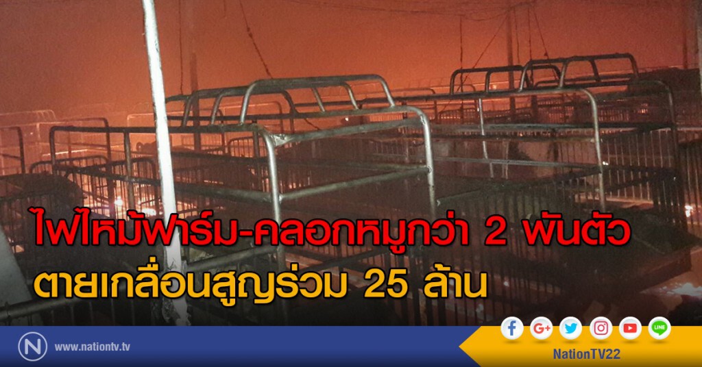 ไฟไหม้ฟาร์ม-คลอกหมูกว่า 2 พันตัว
ตายเกลื่อนสูญร่วม 25 ล้าน